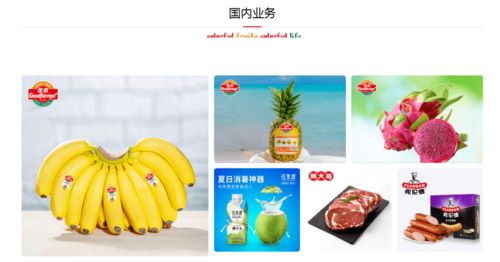 携手并进，共创未来 佳农集团与巧厨供应链合作项目正式启动